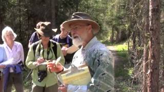 Wild Edible and Medicinal Plants with Michael Pilarski [upl. by Naillig32]