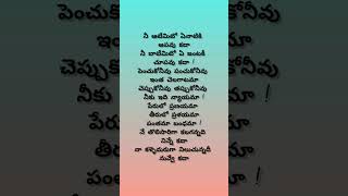 నే తొలిసారిగా కలగన్నది song by me santoshammoviemoviesongs telugusongs trending viralshort [upl. by Ailesor]