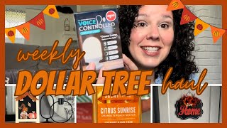 Weekly Dollar Tree Haul  Fun New Finds PLUS Seasonal Fall and Halloween Crafts [upl. by Gazo647]