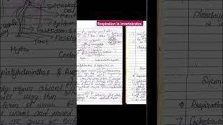 respiration in invertebrates msc notes zoology trending shortvideo shoerts ytshorts msc1st [upl. by Ynatsed521]