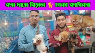 Cat price in Bangladesh 2024 Katabon Animal market in Bangladesh [upl. by Winny]