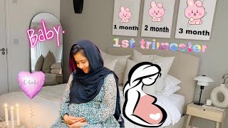 1st Trimester Pregnancy Experience🥰🤰  Mashura  Basheer Bashi  Suhana [upl. by Vipul436]