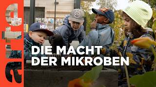 Die Macht der Mikroben  Doku HD  ARTE [upl. by Kuebbing937]