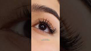 Best Green Color Contacts For Dark Eyes Top Rated Green Contact Lenses 2024 [upl. by Berkin]