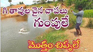 Hook fishing video in village  best village fishing videos  local river fishing [upl. by Mirabella]