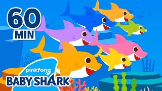 BEST Baby Shark Doo Doo Doo ver2024  Compilation  Baby Shark 1 hour  Baby Shark Official [upl. by Akimrehs453]