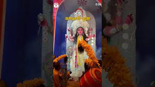 Jagaddhatri maajagaddhatri Puja2024ViralTrendingShorts [upl. by Kennet753]