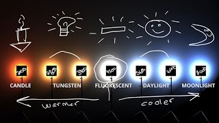 White Balance amp Kelvin Color temp explained 💡 [upl. by Drofliw]