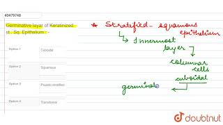 Germinative layar of Keratinized st  Sq Epithslium [upl. by Annoid]