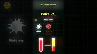 Blood Platelets  Blood composition  science bloodcells [upl. by Barrow]