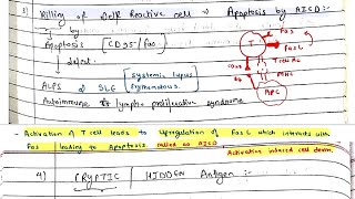 Immunological TOLERANCE  Pathology  Microbiology  Immunity [upl. by Aimahs]