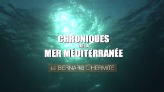 Le BERNARD LHERMITE  CHRONIQUES de la MER MÉDITERRANÉE [upl. by Anomer]