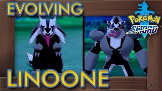 Pokémon Sword amp Shield  How to Evolve Linoone into Obstagoon [upl. by Diarmuid731]