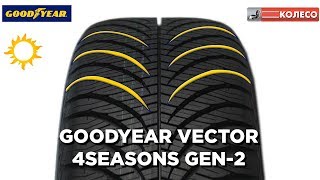 GoodYear Vector 4S Gen2 обзор летних шин КОЛЕСОру [upl. by Ennoval]