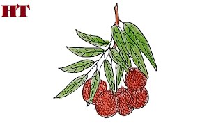 How to draw litchi step by step  Fruits drawing easy [upl. by Nosam34]