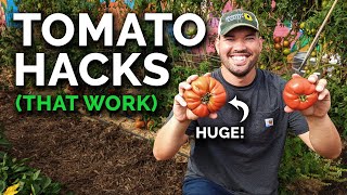 9 Tomato Growing Tips That Actually Work [upl. by Elery379]