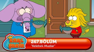 Kral Şakir 267 Bölüm  Kelebek Muzlar [upl. by Hendrika]