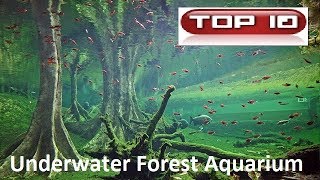 Top 10 Acquari Forest Style 🐠 [upl. by Melanie]