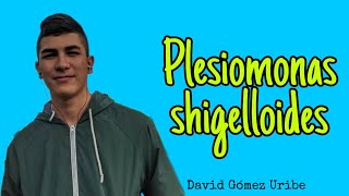 Presentacion plesiomonas shigelloides David Gomez [upl. by Rohpotsirhc]