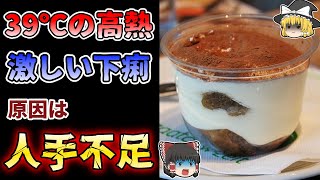 【ゆっくり解説】ティラミスで700人近くがサルモネラに感染 食中毒の原因は工場の人手不足？『ティラミスによる集団食中毒事例』【1990年】 [upl. by Oirrad]