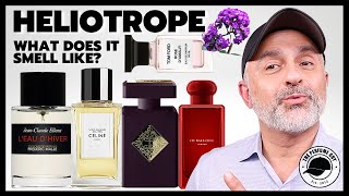 Top HELIOTROPE FRAGRANCES  What Does HELIOTROPE SMELL LIKE [upl. by Ellenej264]