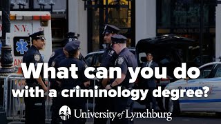 What Can You Do With a Criminology Degree [upl. by Ppik]