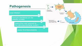 immune thrombocytopenic purpura types diagnosis and differential diagnosis in Urduhindi [upl. by Stauder439]