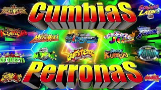 ⚡MIX CUMBIAS PERRONAS PARA BAILAR 2024🕺🏻💃🏻CUMBIAS SONIDERAS MIX GRUPO QUINTANNAJUJUYTEPOZ Y MÁS🥳 [upl. by Ellehcyar608]