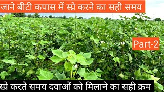 बीटी कपास में स्प्रे करते समय कौनसी बातों का ध्यान रखेंWhat things should be kept in mind bt cotton [upl. by Dympha]