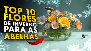 TOP 10 FLORES de INVERNO para as ABELHAS [upl. by Sherwood]