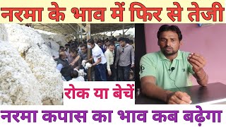 नरमा के भाव में सुधार  आज नरमा का भाव  narma ki live boli Haryana Mandi  kapas bhav today [upl. by Colston]