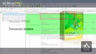 Podstawowe funkcje programu Norma PRO [upl. by Einnel]