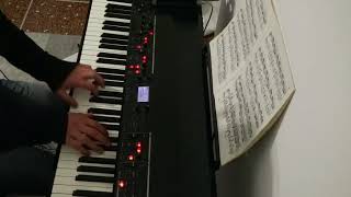 Simone Sorella plays Liszt  Chopin Kawai MP10 practice session [upl. by Aivart]