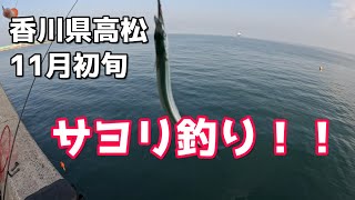 香川県高松 11月上旬釣り [upl. by Fe654]