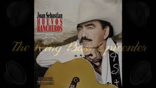 Joan Sebastian amp Lucero Golondrinas Viajeras Bass Epicenter [upl. by Hamish160]