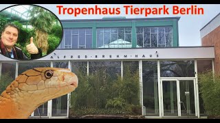 The reopened tropical house in Tierpark Berlin [upl. by Ardnalac]