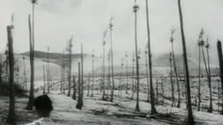 Natuurramp Filipijnen en Japan 1951 [upl. by Melliw]