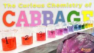 Adventures in Chemistry Why cabbage is a pH indicator [upl. by Hueston]