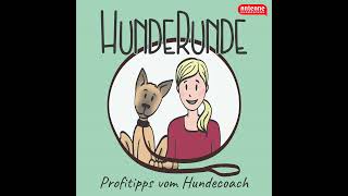 73 Das gehört mir Territoriales Verhalten beim Hund [upl. by Milda166]