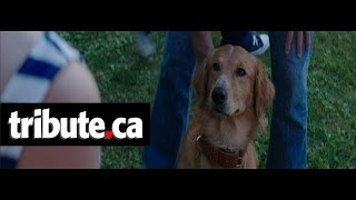 A Dogs Purpose  Movie Clip quotBailey Notices Smell” [upl. by Shelia873]