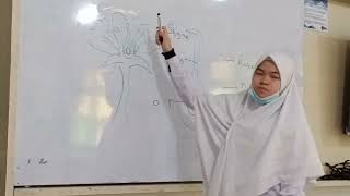 PRESENTASI KELOMPOK ANGIOSPERMAE BIOLOGI 10 MAN INSAN CENDEKIA PADANG PARIAMAN biologi angiosperm [upl. by Sidnal]