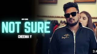 Not Sure  Cheema Y Gur sidhu latest punjabi song [upl. by Swayne]