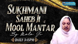 SUKHMANI SAHEBJI PATH amp MOOL MANTAR LIVE  24th MAY 2024 [upl. by Nelo]