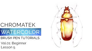 Watercolor Brush Pen Tutorials by Chromatek Beginner Vol01 Lesson 05 [upl. by Enom]