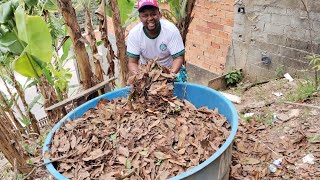 COMO FAZER COMPOSTAGEM DE FOLHA SECA EM CAIXA DÁGUA NO QUINTAL DE CASA [upl. by Nylednarb624]