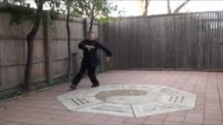 Baguazhang Jiulong Basic Circle Walking Turns [upl. by Bass]