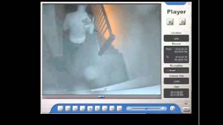 CCTV footage Bristol thug caught abusing his husky dog [upl. by Choong]