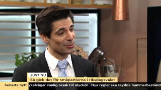 Så gick det för småpartierna i riksdagsvalet  Nyhetsmorgon TV4 [upl. by Euqram722]