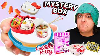 DISASTER OR AMAZING Hello Kitty Mini Food Mystery Box Miniverse Unbox [upl. by Barthelemy]