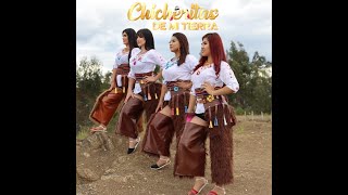 CHICHERITAS DE MI TIERRA SARIRI DEL ANDE VIDEO OFICIAL [upl. by Krystle393]